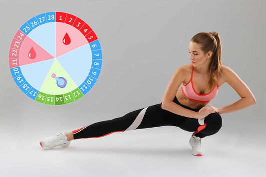 Impact of Physical Training on the Menstrual Cycle