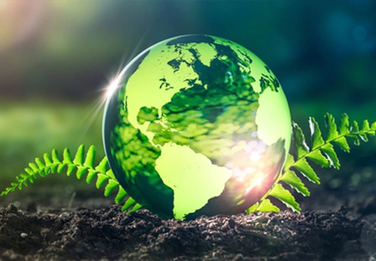 Pro Environment Pro-environment goals. A good way to start 2022 – Ecowoman